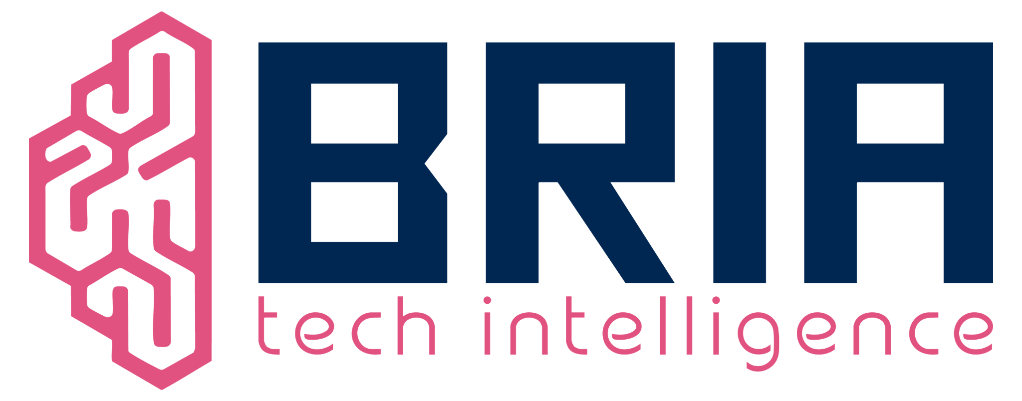 BRIA Tecnologia e Inteligência